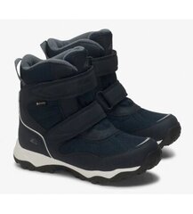 Viking žieminiai batai vaikams Beito Warm GTX 2V, 90920-503, mėlyni kaina ir informacija | Žieminiai batai vaikams | pigu.lt