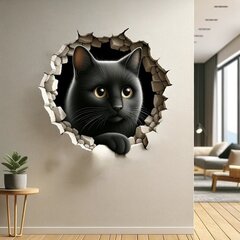 3D наклейка на стену - кот в иллюзии трещины цена и информация | Интерьерные наклейки | pigu.lt