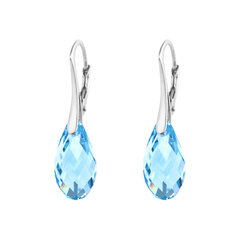 Серебряные серьги "Аншанте (Aquamarine)" с кристаллами Swarovski™ DS02A902 цена и информация | Серьги | pigu.lt