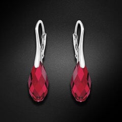 Серебряные серьги "Аншанте (Scarlet)" с кристаллами Swarovski™ DS02A906 цена и информация | Серьги | pigu.lt