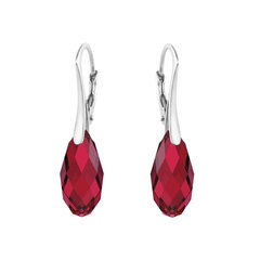 Серебряные серьги "Аншанте (Scarlet)" с кристаллами Swarovski™ DS02A906 цена и информация | Серьги | pigu.lt