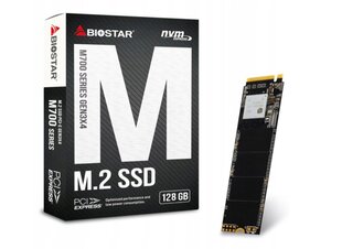 Biostar M700 (DIABIOSSD0001) цена и информация | Внутренние жёсткие диски (HDD, SSD, Hybrid) | pigu.lt