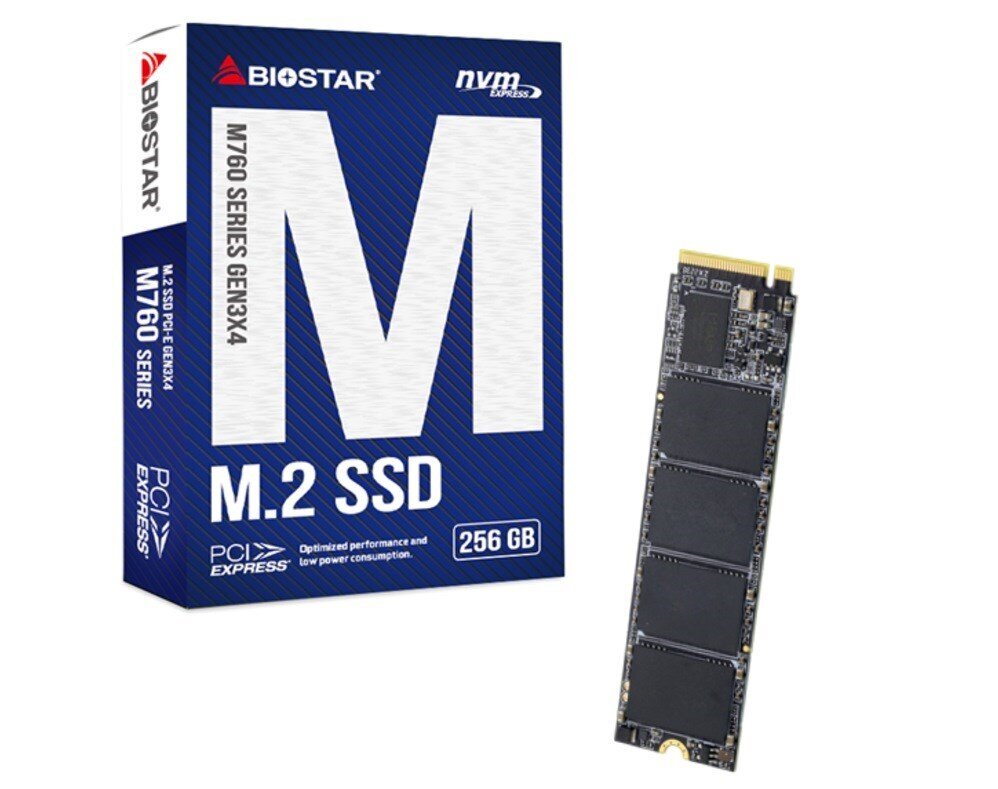 Biostar M760 (M760-256GB) цена и информация | Vidiniai kietieji diskai (HDD, SSD, Hybrid) | pigu.lt