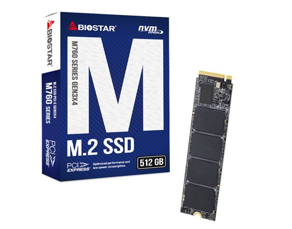 Biostar M760 (M760-512GB) kaina ir informacija | Vidiniai kietieji diskai (HDD, SSD, Hybrid) | pigu.lt