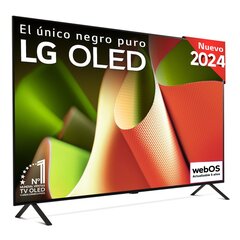 LG OLED65B42LA kaina ir informacija | Televizoriai | pigu.lt