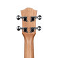 Koncertinė ukulelė Cascha HH 2604 kaina ir informacija | Gitaros | pigu.lt