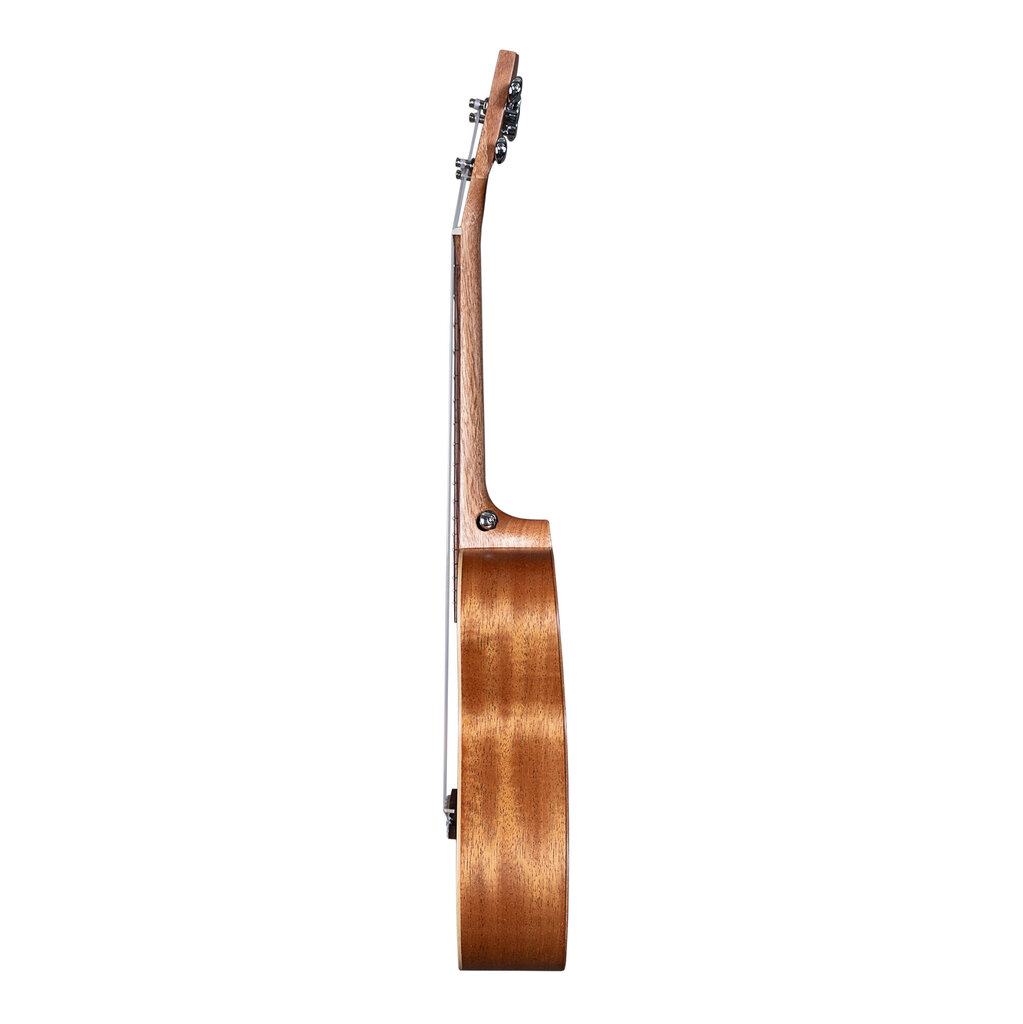 Koncertinė ukulelė Cascha HH 2604 kaina ir informacija | Gitaros | pigu.lt