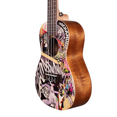 Koncertinė ukulelė Cascha HH 2604 kaina ir informacija | Gitaros | pigu.lt