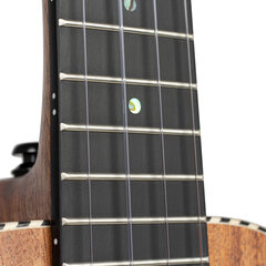 Koncertinė ukulelė Cascha HH 2310 kaina ir informacija | Gitaros | pigu.lt