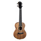 Koncertinė ukulelė Cascha HH 2348 kaina ir informacija | Gitaros | pigu.lt