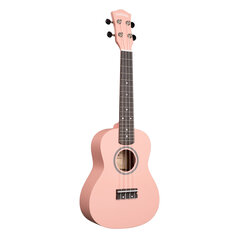 Koncertinė ukulelė Cascha CUC107 kaina ir informacija | Gitaros | pigu.lt