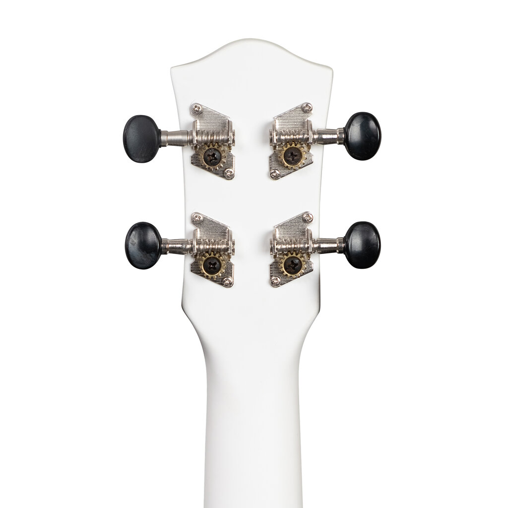 Soprano ukulelė Cascha Linden Dreamcatcher CULS-DC цена и информация | Gitaros | pigu.lt