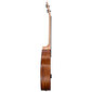 Baritono ukulelė Cascha Mahogany HH 2243 kaina ir informacija | Gitaros | pigu.lt