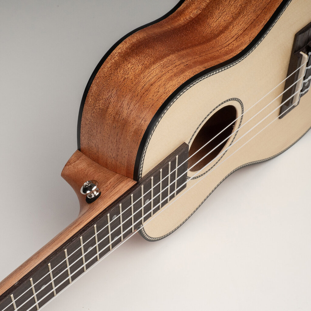 Koncertinė ukulelė Cascha HH 2151 kaina ir informacija | Gitaros | pigu.lt