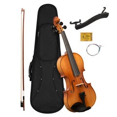 Набор скрипки Cascha 4/4 HH 2050 цена и информация | Скрипки | pigu.lt