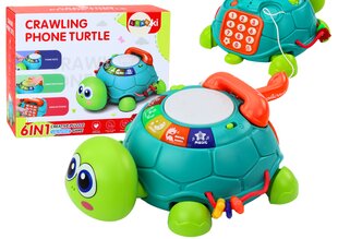 Интерактивная черепашка 6 в 1 со звуковыми и световыми эффектами Lean Toys, зеленая цена и информация | Развивающие игрушки | pigu.lt