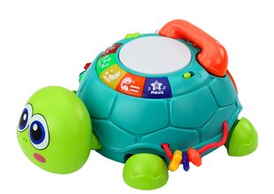 Интерактивная черепашка 6 в 1 со звуковыми и световыми эффектами, зеленая цена и информация | Развивающие игрушки | pigu.lt