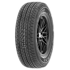 FIREMAX FM809 195/75R16 107/105R C цена и информация | Зимняя резина | pigu.lt