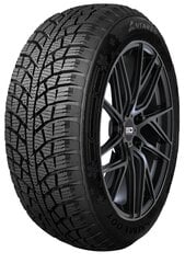 ANTARES LUMI 001 255/45R19 104T XL цена и информация | Зимняя резина | pigu.lt