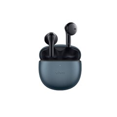 Беспроводные наушники Vivo TWS Air Pro 14.2MM Type-C 30h Bluetooth5.3 IPX4 цена и информация | Наушники | pigu.lt