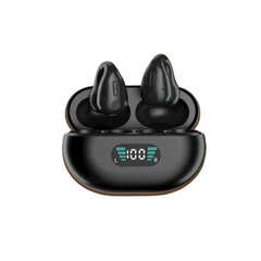 Беспроводные наушники Pinny T14 48H Type-C Bluetooth5.3 IPX4 цена и информация | Наушники | pigu.lt