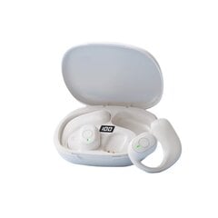 Беспроводные наушники Pinny T26-w3 8H Type-C Bluetooth5.3 IPX5 цена и информация | Наушники | pigu.lt