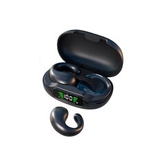 Беспроводные наушники Pinny T29 24H Type-C Bluetooth5.3 IPX5 цена и информация | Наушники | pigu.lt