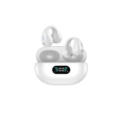 Беспроводные наушники Pinny T14-1 85H Type-C Bluetooth5.3 IPX4 цена и информация | Наушники | pigu.lt