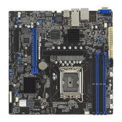 Asus P13R-M/10G-2T kaina ir informacija | Pagrindinės plokštės | pigu.lt