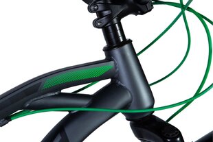 Dviratis Formula Blaze 24", pilkas/žalias цена и информация | Велосипеды | pigu.lt