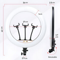 Светодиодный кольцевой светильник 18 дюймов на подставке, LIVMAN LJJ-36 (led ring) цена и информация | Осветительное оборудование для фотосъемок | pigu.lt