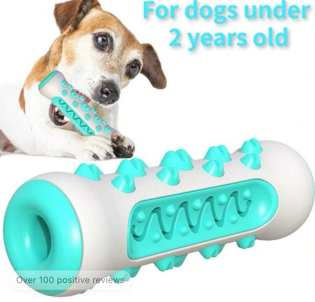 Šuns žaislas Electronics LV-2030, 1 vnt. цена и информация | Žaislai šunims | pigu.lt