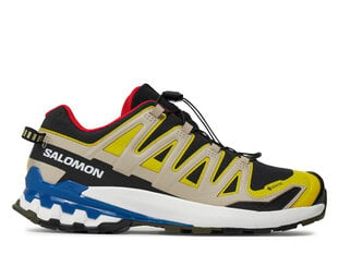 Laisvalaikio batai vyrams Salomon L47119000, įvairių spalvų kaina ir informacija | Kedai vyrams | pigu.lt