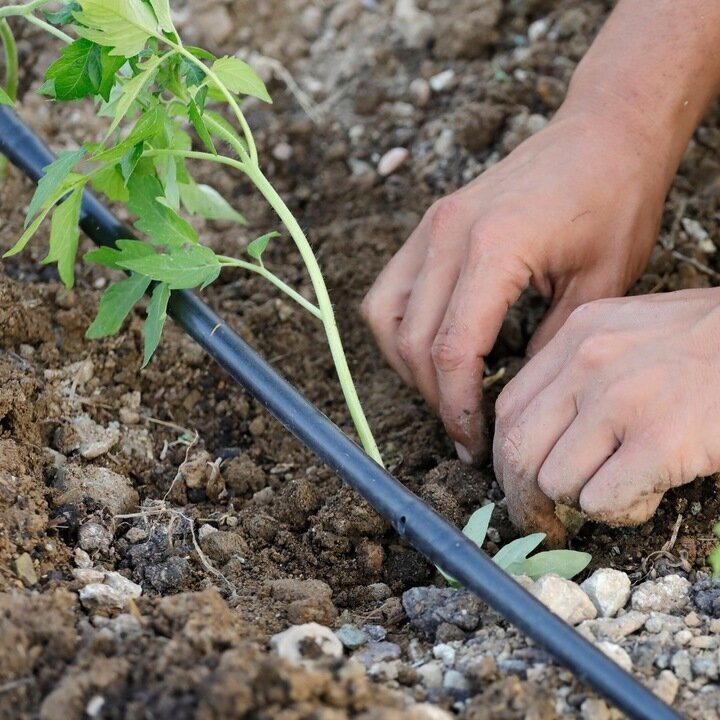 Laistymo sistemos rinkinys Bradas, 100m, 1 vnt. kaina ir informacija | Laistymo įranga, purkštuvai | pigu.lt