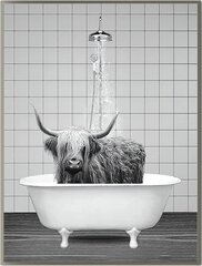 Палакат на холсте "Бизон в бане", 50х70см 2 шт. цена и информация | Репродукции, картины | pigu.lt