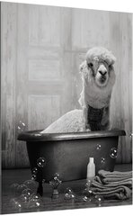 Palakatas ant drobės Kupranugaris vonioje kaina ir informacija | Reprodukcijos, paveikslai | pigu.lt