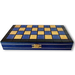Магнитные шахматы мини, синие цена и информация | Настольные игры, головоломки | pigu.lt