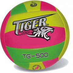 Paplūdimio tinklinio kamuolys Star Tiger kaina ir informacija | Vandens, smėlio ir paplūdimio žaislai | pigu.lt