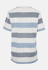 Cellbes vyriški marškinėliai JOHANNES, balti-mėlyni kaina ir informacija | Vyriški marškinėliai | pigu.lt