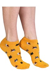 Kojinės moterims, geltonos kaina ir informacija | Moteriškos kojinės | pigu.lt