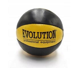Svorinis treniruočių kamuolys Evolution, 3kg kaina ir informacija | Svoriniai kamuoliai | pigu.lt