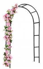 Растительная арка Fluxar home AR311, 240 см цена и информация | Подставки для цветов, держатели для вазонов | pigu.lt
