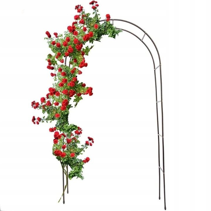 Arka augalams Fluxar Home AR313 240 cm цена и информация | Gėlių stovai, vazonų laikikliai | pigu.lt