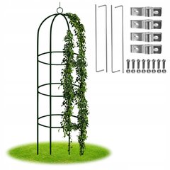 Растительная арка Fluxar home AR318, 190 см цена и информация | Подставки для цветов, держатели для вазонов | pigu.lt
