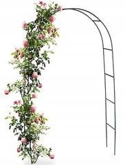 Arka augalams Fluxar Home AR309 240 cm kaina ir informacija | Gėlių stovai, vazonų laikikliai | pigu.lt