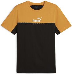 Marškinėliai vyrams Puma 673341 91, įvairių spalvų kaina ir informacija | Vyriški marškinėliai | pigu.lt