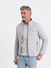 Куртка весна-осень C372, серая цена и информация | Мужские куртки | pigu.lt