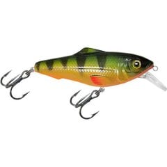 Vobleris Aqua Fishing Tackle 75mm 048 kaina ir informacija | Vobleriai, masalai, blizgės | pigu.lt