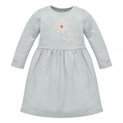 Платье для девочки Kleit цена и информация | Юбки, платья для новорожденных | pigu.lt