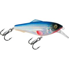 Vobleris Aqua Fishing Tackle 75mm 015 kaina ir informacija | Vobleriai, masalai, blizgės | pigu.lt